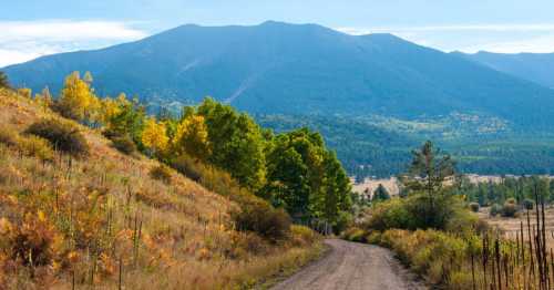 A winding dirt road leads through colorful trees, with mountains and a clear blue sky in the background.