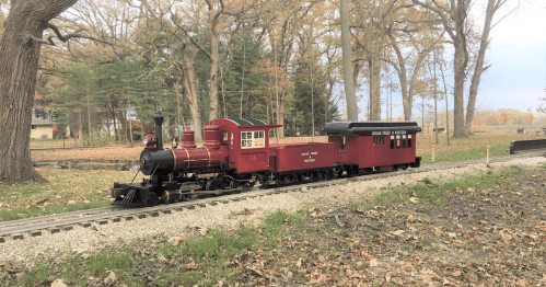 A miniature steam train travels along a track surrounded by autumn trees and fallen leaves.