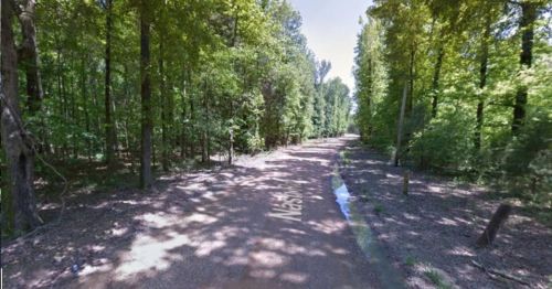 A dirt path surrounded by lush green trees, with dappled sunlight filtering through the leaves.