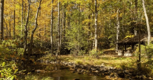 A serene forest scene with autumn foliage, a small stream, and a rustic gazebo nestled among the trees.
