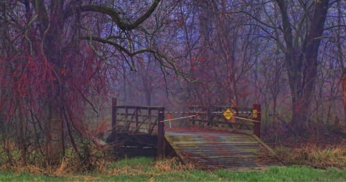 A foggy scene of a wooden bridge in a forest, surrounded by bare trees and red vines, with caution tape across the entrance.
