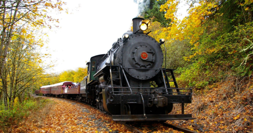 A vintage steam train travels along a scenic, autumn-colored forest track.