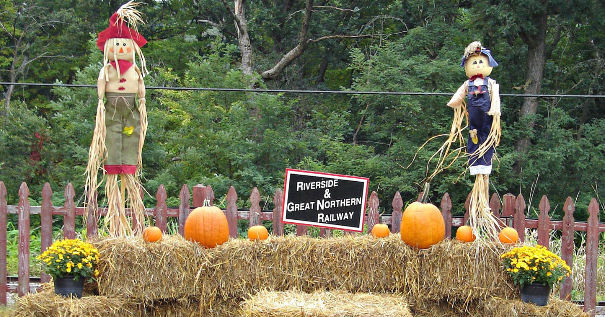 Take These Pumpkin-Themed Train Rides In Wisconsin For An Unforgettable ...