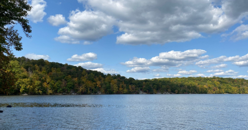 A serene lake surrounded by trees with autumn colors under a blue sky filled with fluffy white clouds.