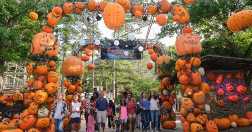 A festive archway decorated with pumpkins and Halloween decorations, with a group of people posing in front.