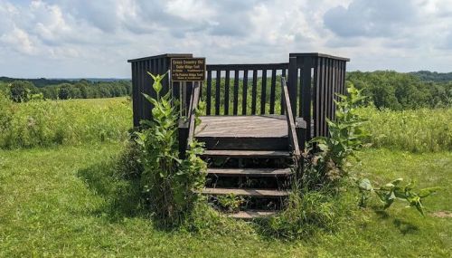 A wooden observation deck surrounded by tall grass and plants, with a sign indicating it's part of a nature area.