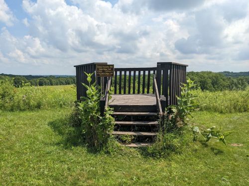 A wooden observation deck surrounded by tall grass and plants, with a sign and a scenic view in the background.