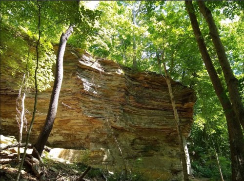 A rocky cliff surrounded by lush green trees in a forested area, with sunlight filtering through the leaves.