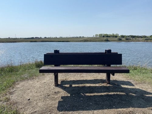 A wooden bench facing a calm lake, surrounded by grass and distant trees under a clear blue sky.