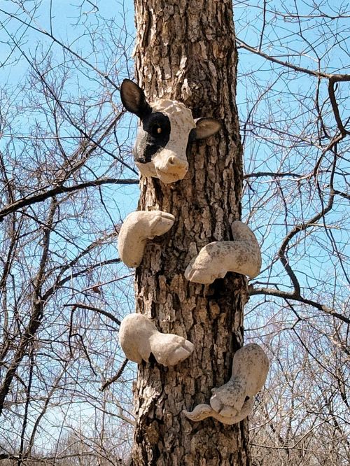A tree with several animal masks attached to its trunk, blending nature and art in a whimsical display.
