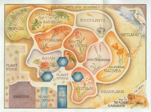 Illustrated map of a garden layout featuring various plant zones, including tropical, succulents, and wetland areas.