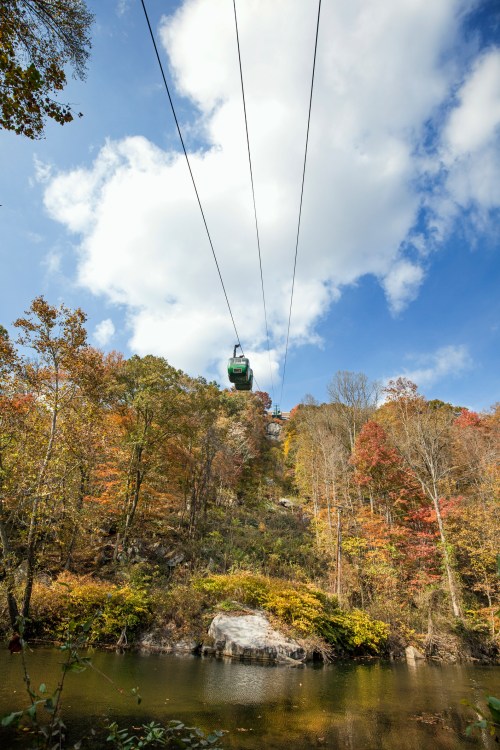 A green gondola glides over colorful autumn trees and a calm body of water under a blue sky with fluffy clouds.