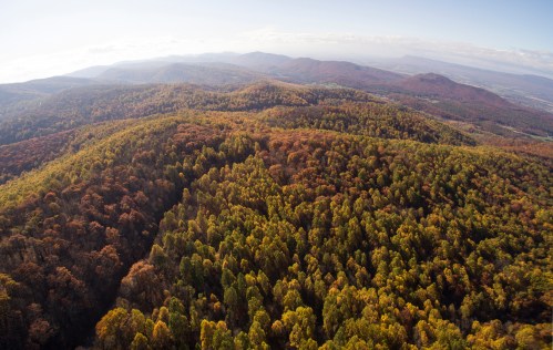 Aerial view of rolling hills covered in vibrant autumn foliage, showcasing a mix of green, orange, and yellow trees.