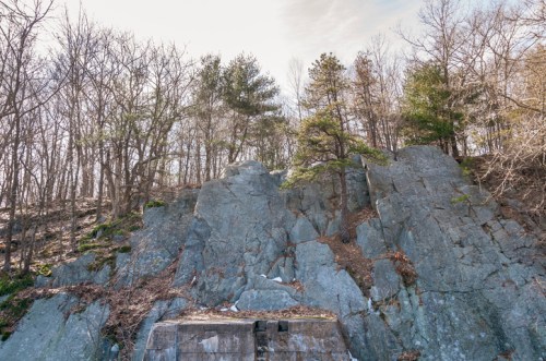 Rocky outcrop with sparse trees and bare branches, set against a clear sky.