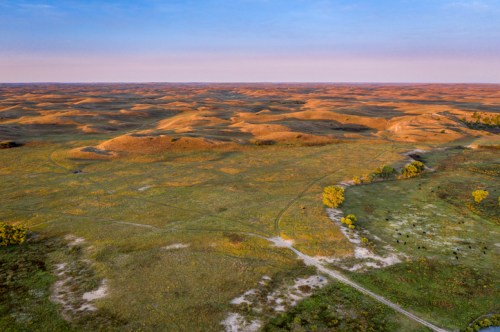 Aerial view of rolling hills and grassy plains under a pastel sky, with a winding path and scattered trees.