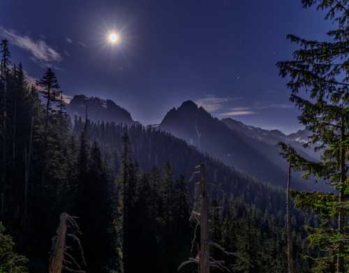 A moonlit mountain landscape with tall trees and a clear night sky, showcasing rugged peaks and a serene atmosphere.