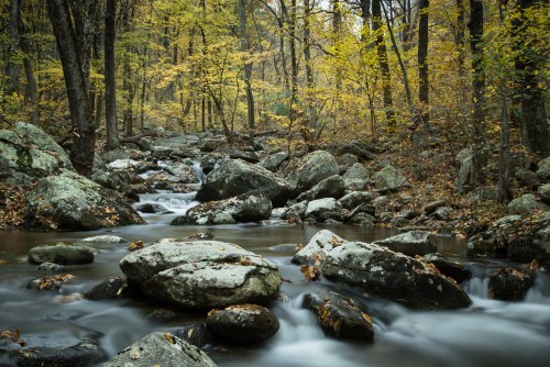 A serene stream flows over smooth rocks, surrounded by autumn foliage in a tranquil forest setting.