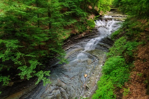 A serene stream flows through a lush green forest, with gentle waterfalls cascading over rocky terrain.