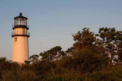 A tall lighthouse stands among green trees under a clear sky, illuminated by warm sunset light.