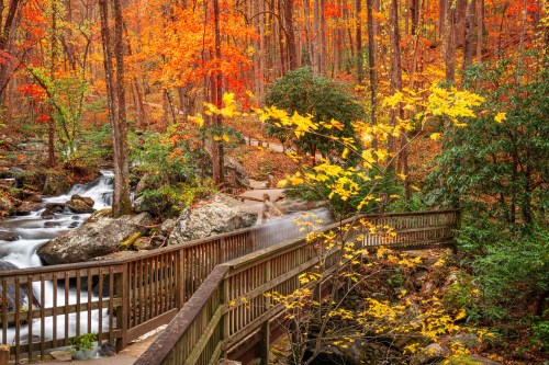 A wooden bridge crosses a stream in a vibrant autumn forest with colorful leaves and flowing water.