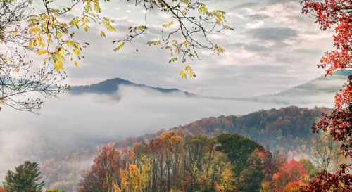 A misty mountain landscape with vibrant autumn foliage and soft clouds hovering over the hills.