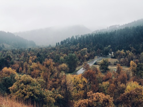 A misty landscape featuring rolling hills, dense forests, and autumn foliage along a winding road.