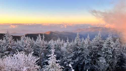 A panoramic view of snow-covered trees with mountains and a colorful sunset in the background.