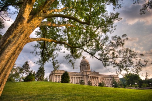 A large tree in the foreground frames a historic building with a dome, set against a cloudy sky.