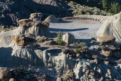 A rugged landscape featuring unique rock formations and sandy areas, surrounded by sparse vegetation and shadows.