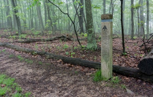 A stone marker labeled "A" stands beside a muddy trail in a misty, green forest.