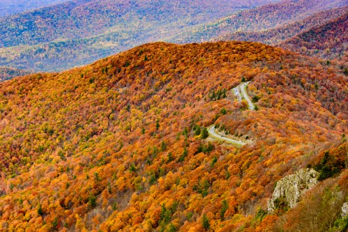 A scenic view of rolling hills covered in vibrant autumn foliage, with a winding road cutting through the landscape.