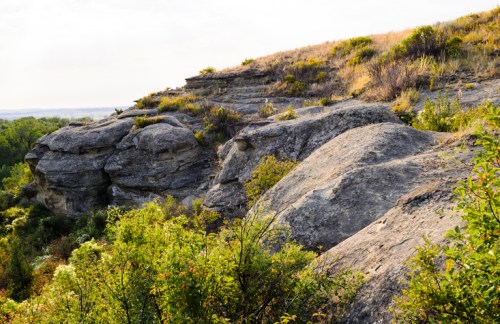 Rocky cliffside with lush greenery and sparse vegetation under a bright sky.