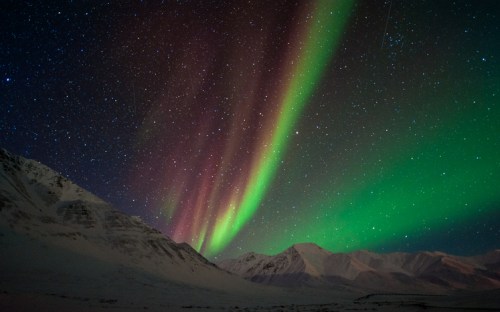 Vibrant auroras dance over snow-capped mountains under a starry night sky.