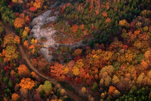 Aerial view of vibrant autumn foliage in various colors surrounding a rocky outcrop and winding dirt path.