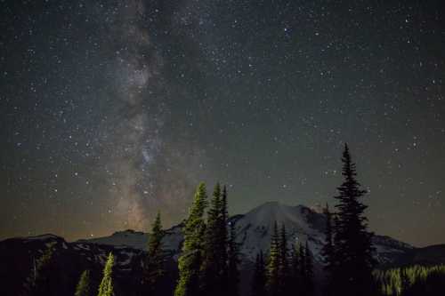 A starry night sky with the Milky Way above a mountain, framed by tall evergreen trees.