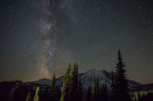 A starry night sky with the Milky Way above a mountain, framed by tall evergreen trees.