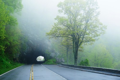 A foggy road leads to a tunnel through a rocky hillside, surrounded by lush green trees.