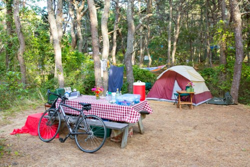 A campsite with a picnic table, bicycle, tent, and trees, featuring a checkered tablecloth and camping supplies.