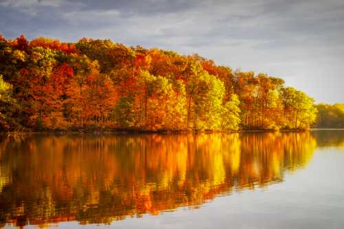 A serene lake reflecting vibrant autumn trees in shades of orange, yellow, and red under a cloudy sky.