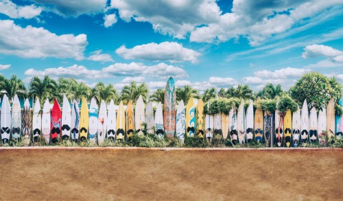 A colorful row of surfboards stands against a backdrop of palm trees and a bright blue sky with fluffy clouds.