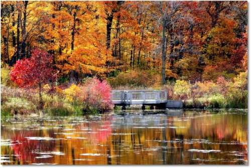 A serene pond surrounded by vibrant autumn foliage and a wooden dock reflecting in the water.