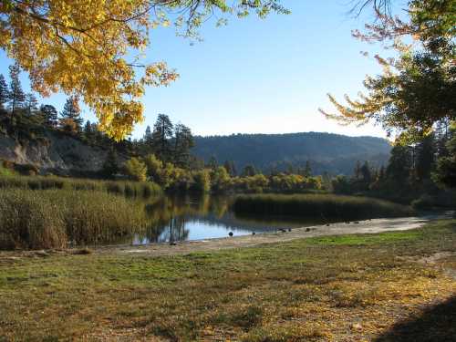 A serene lake surrounded by trees with autumn foliage, reflecting the clear blue sky and mountains in the background.