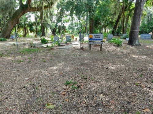 A cemetery with gravestones surrounded by trees and Spanish moss, featuring a sign that reads "Amelia Village."