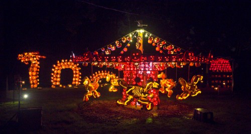 A festive display of illuminated jack-o'-lanterns arranged in various shapes, including a carousel and animals, at night.