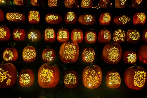 A display of intricately carved pumpkins glowing with various designs, arranged in rows against a dark background.