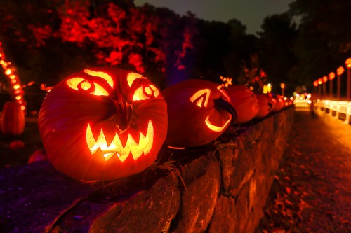 Glowing jack-o'-lanterns with spooky faces line a stone wall, surrounded by festive Halloween lights in a dark setting.