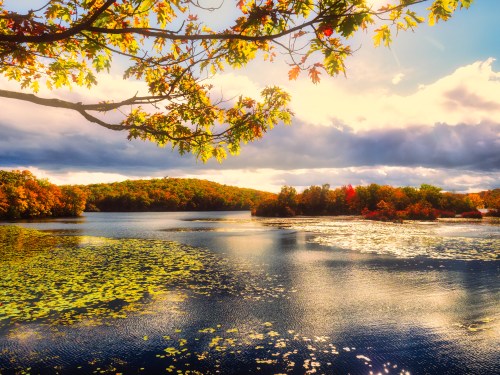 A serene lake surrounded by autumn foliage, with colorful trees reflecting on the water under a cloudy sky.