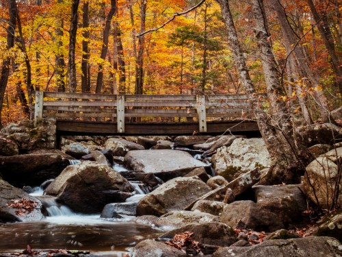 A wooden bridge spans a rocky stream, surrounded by vibrant autumn foliage in a serene forest setting.