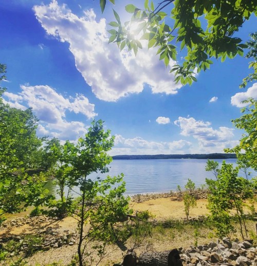 A serene lakeside view with blue skies, fluffy clouds, and green trees framing the water's edge.
