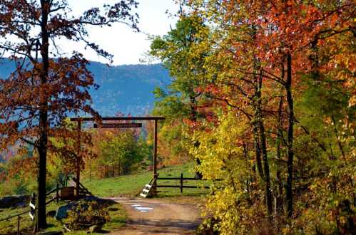 A scenic pathway leads through colorful autumn trees, with a wooden archway in the background and mountains beyond.